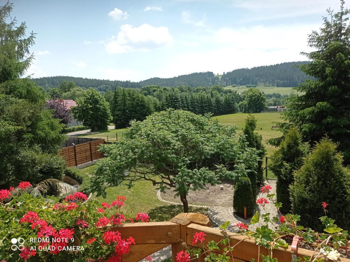 Sowianka Apartment Ludwikowice Kłodzkie