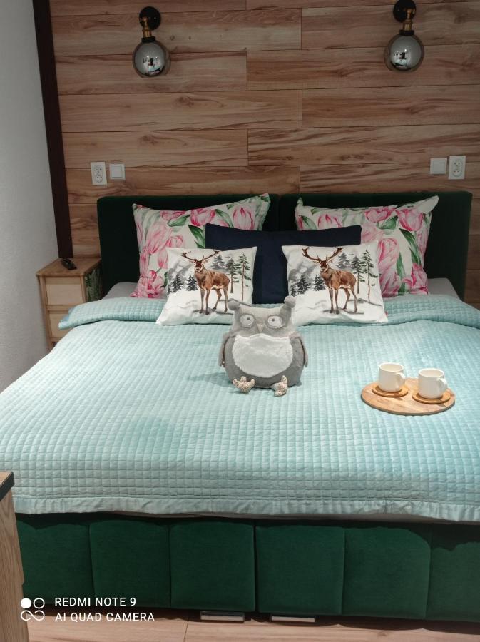 Sowianka Apartment *