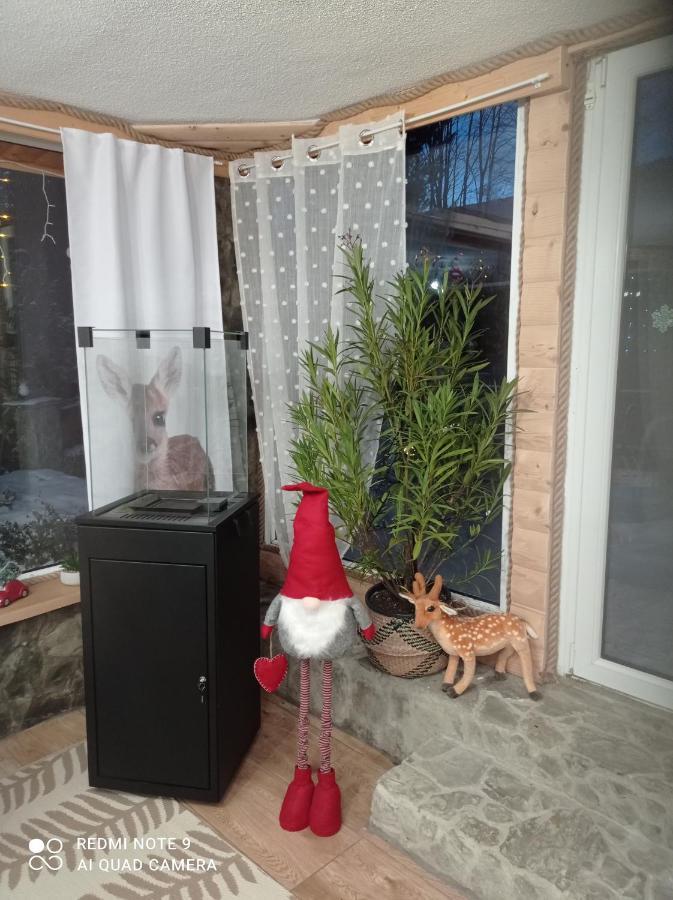 Apartment Sowianka