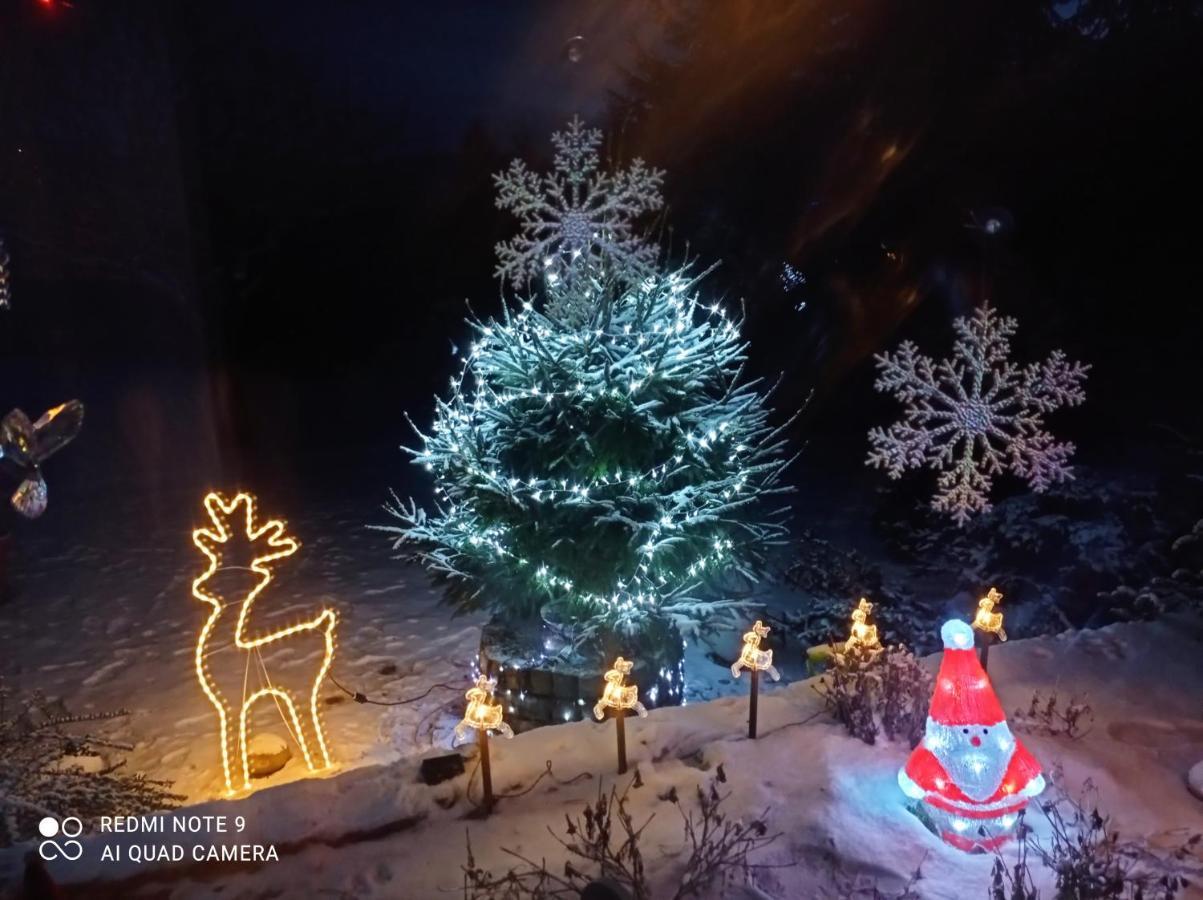 Sowianka * Ludwikowice Kłodzkie