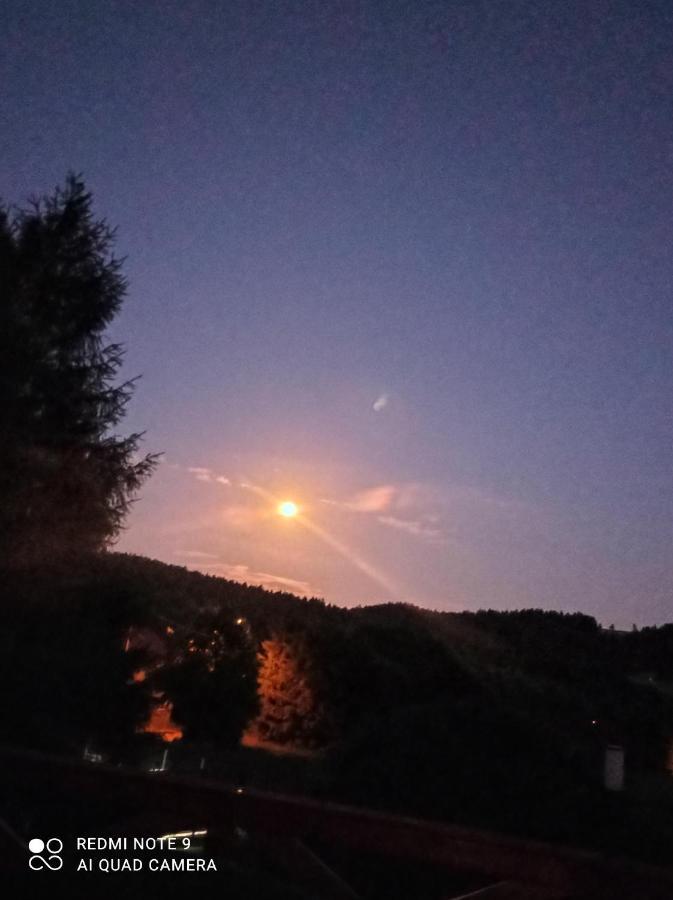 Sowianka Leilighet *
